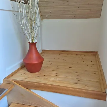 Alte Schmiede شقة