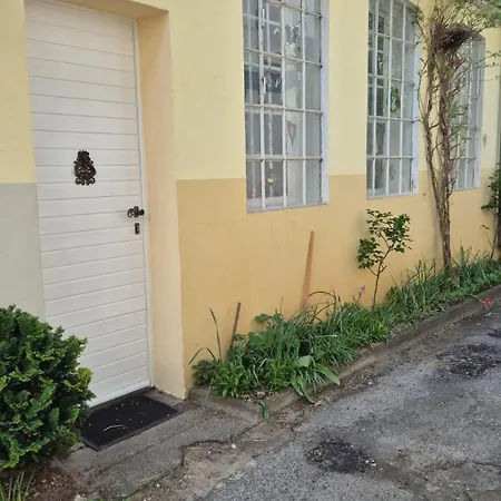 Apartament Alte Schmiede *